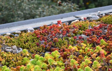 the cost of Dormers Wells green roof installation