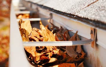 Dormers Wells gutter cleaning companies