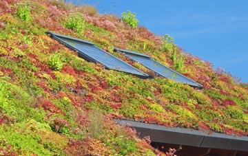 Dormers Wells living roof systems