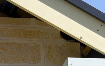 soffit repair Dormers Wells