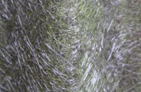 Dormers Wells fibreglass roof work